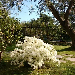 La Vie Est Belle Bed & Breakfast Finale Ligure